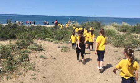 Fieldtrips and Educational-Themed Excursions